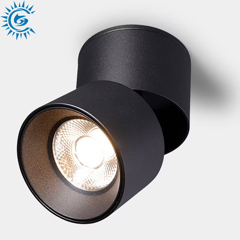 LED Cylinder Light - Angle 24° 36° - CCT - 10W - Black Housing