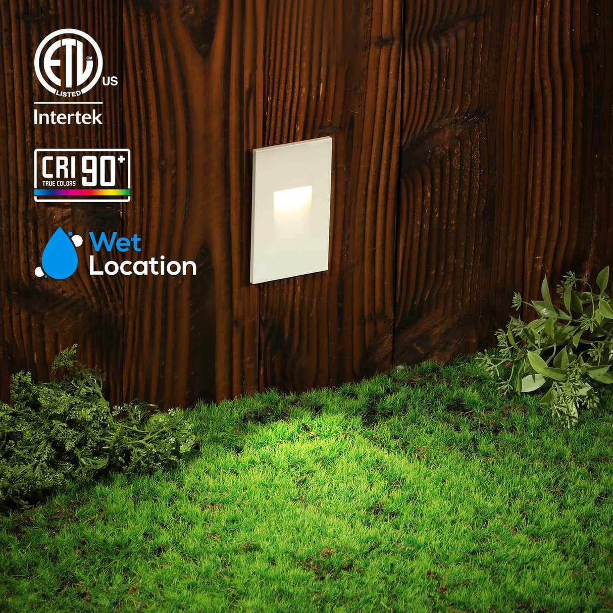 Step Lights 5CCT - 110V - Vertical - Az