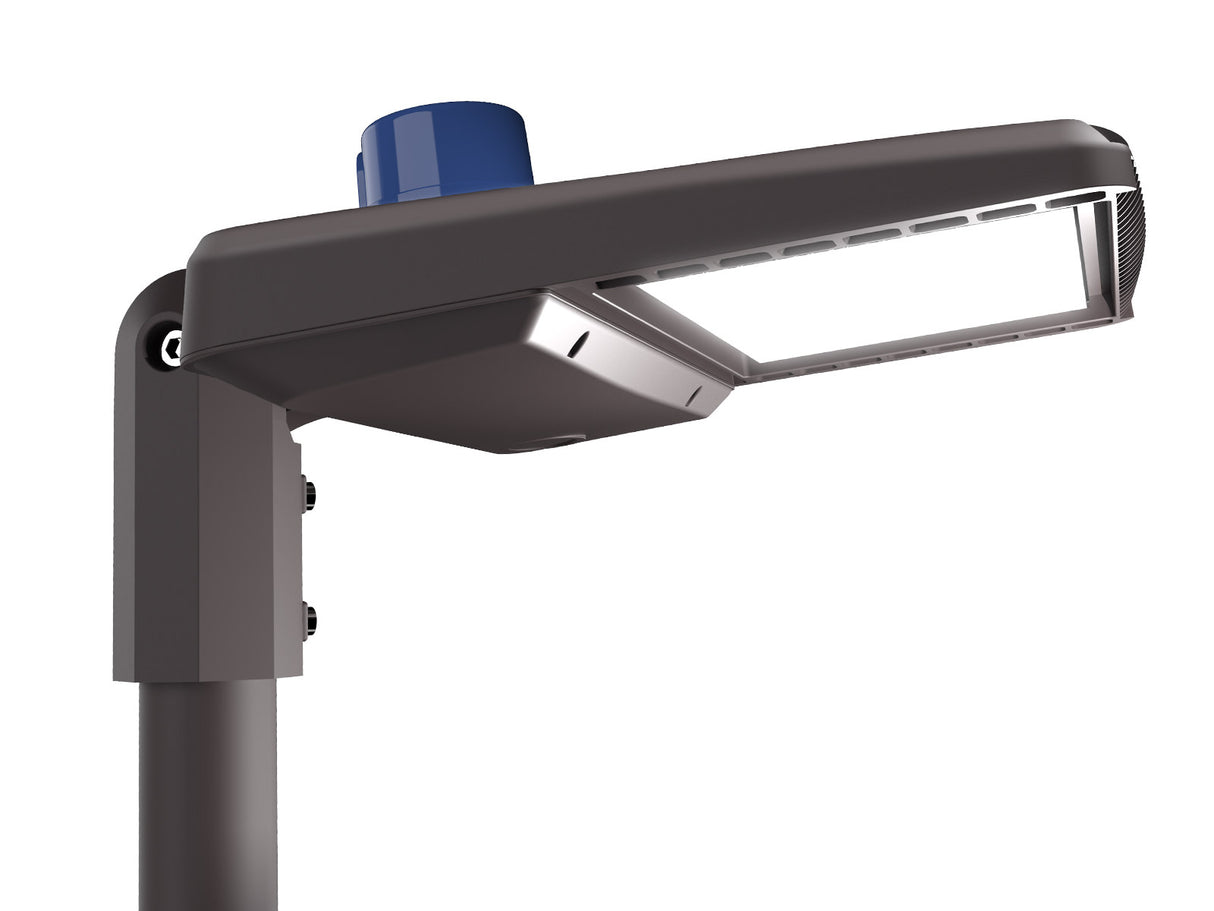 Shoebox 100w black RZ with photocell