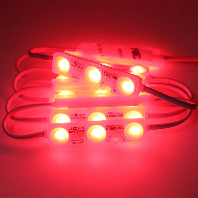 Module Light - 12V 50 Pieces IP68 JSLED Red