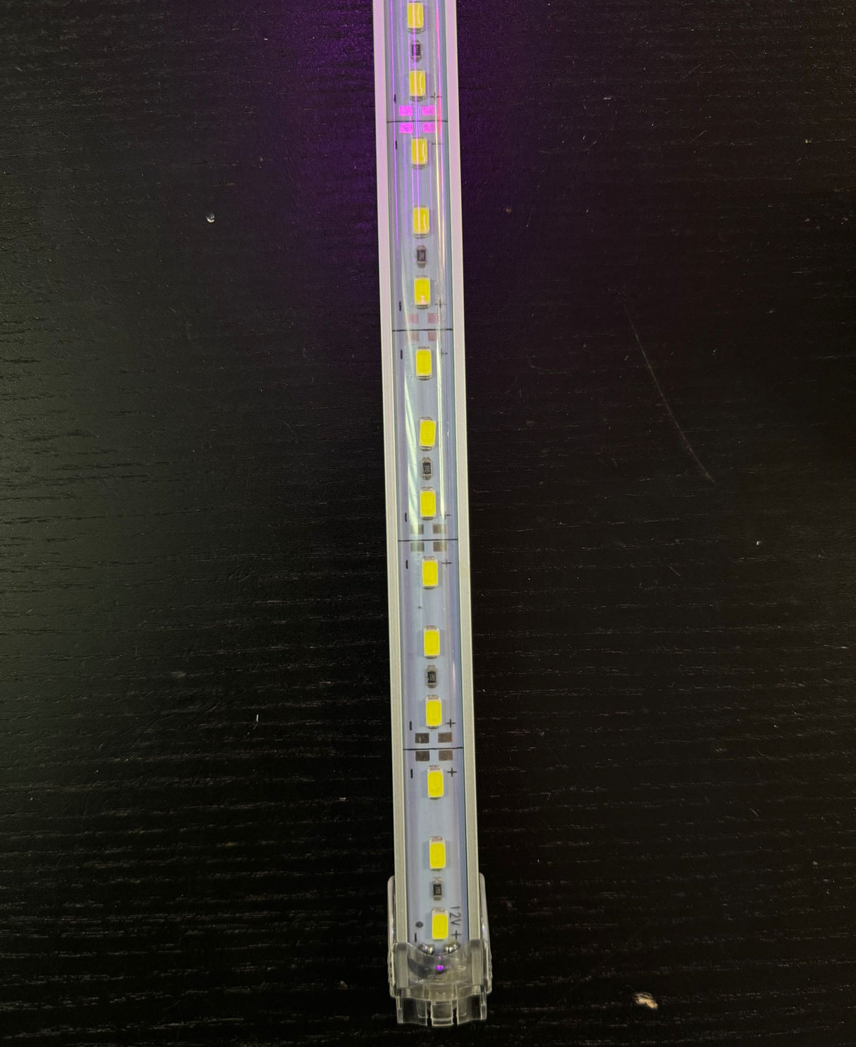 Rigid Bar CW 40" 12V