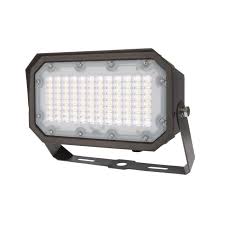 Flood Light RZ  110V 3000k 50w Yoke