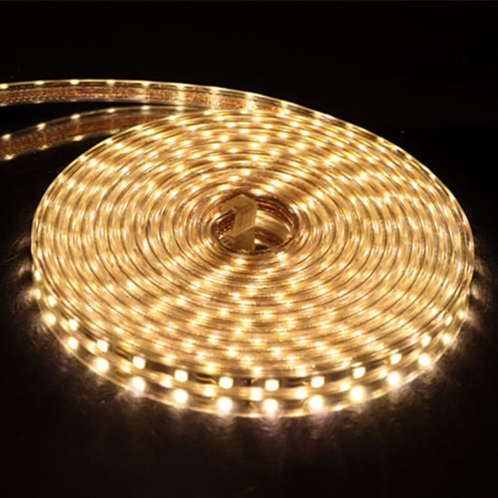 Transform Your Space with Brilliant Warm White LED Strip Lights - 10m - 32FT - 110V