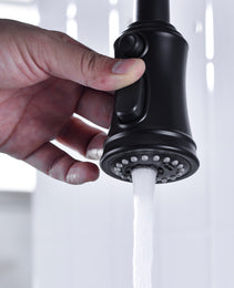 Pull Down Dual Handle Kitchen Faucet