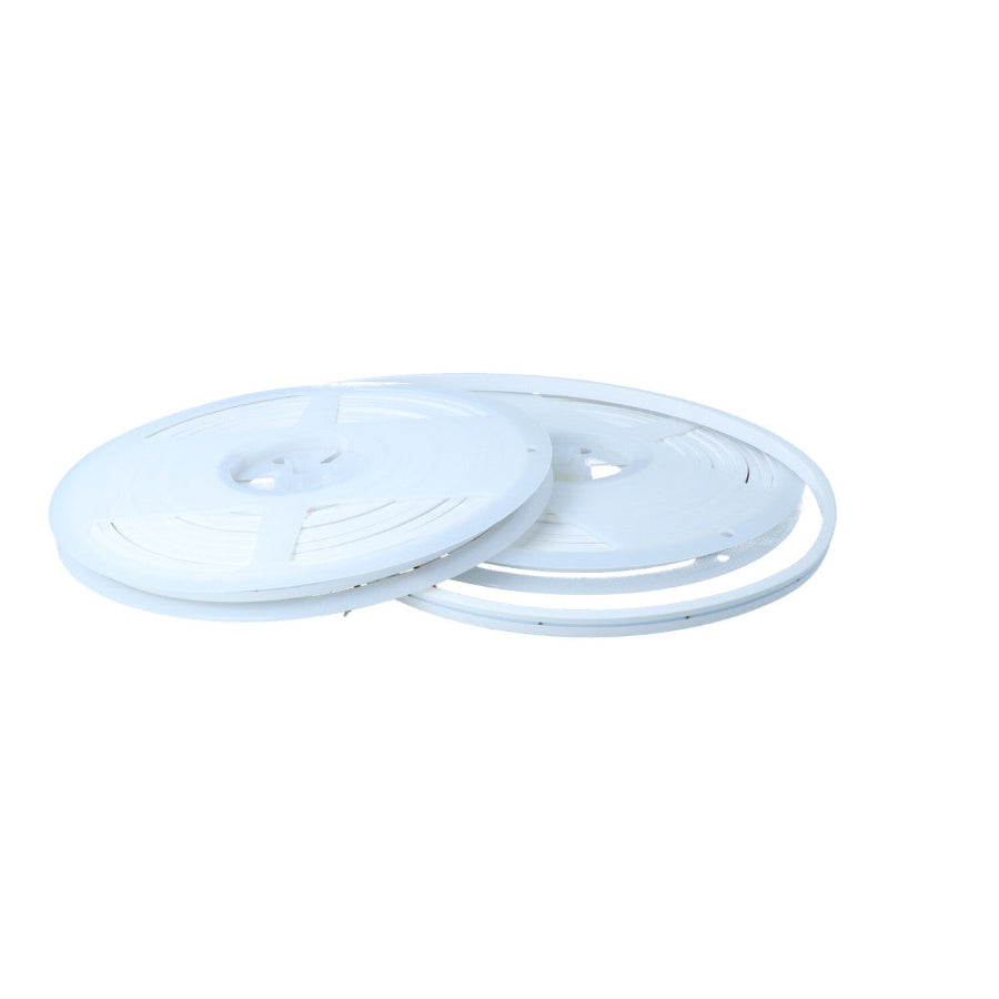 Strip Neon 6000K 24V - 16.4FT IP67 CW