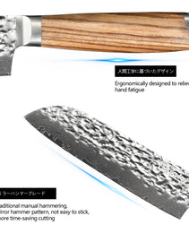 Qulajoy Nakiri Chef Knife 6.5 Inch - Professional Japanese 67 Layers Damascus VG-10 Steel - Hammered Vegetable Cutting Knife - Zebrawood Handle With Sheath