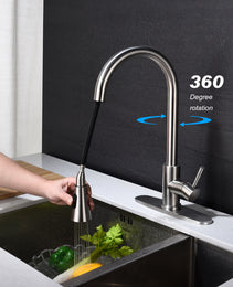 Kitchen Faucet With Pull Out Spraye