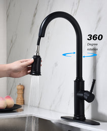 Pull-out Sprinkler Kitchen Faucet