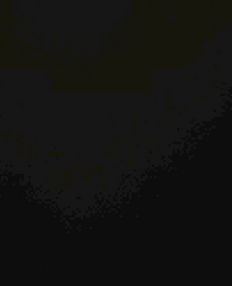 82205023
