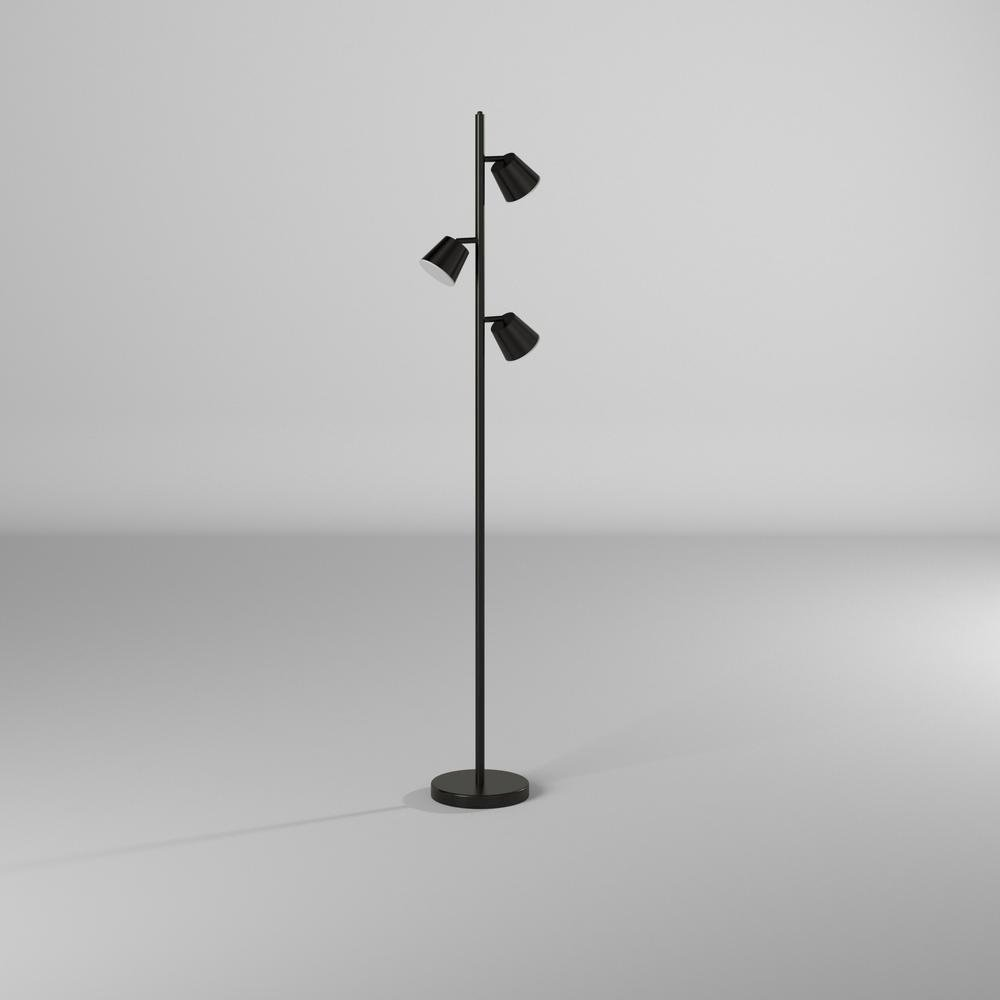 82205024