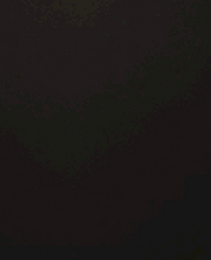 82203894