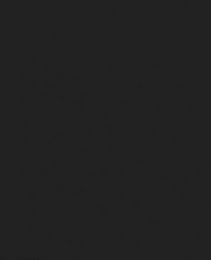 82204044