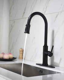 Single-handle Pull-down Kitchen Faucet With Dual-function Sprinklers