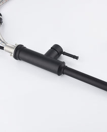 Single-handle Pull-down Kitchen Faucet With Dual-function Sprinklers