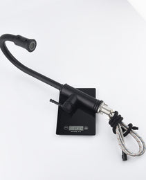 Single-handle Pull-down Kitchen Faucet With Dual-function Sprinklers