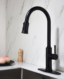 Single-handle Pull-down Kitchen Faucet With Dual-function Sprinklers