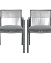 Outdoor Dining Chair Set Of 2, Aluminum  Rope , Outdoor Armchair Seating For Patio Backyard Poolside Balcony, Cushion Included