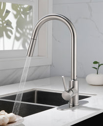 Stainless Steel Kitchen Sink Faucet With Pull-down Sprayer