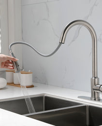 Stainless Steel Kitchen Sink Faucet With Pull-down Sprayer
