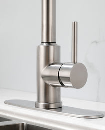 Stainless Steel Kitchen Sink Faucet With Pull-down Sprayer