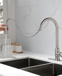 Stainless Steel Kitchen Sink Faucet With Pull-down Sprayer
