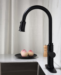 Pull-out Sprinkler Kitchen Faucet