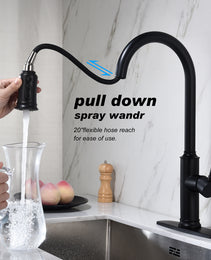 Pull-out Sprinkler Kitchen Faucet