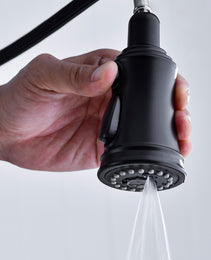 Pull Down Dual Handle Kitchen Faucet