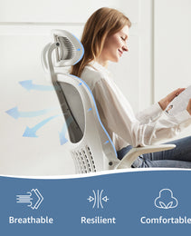 Ergonomics Office Computer Desk And Chair