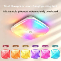 RGB Smart LED Ceiling Light 16M Colors Music Sync IP44 Waterproof Remote Control Home Lighting