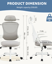 Ergonomics Office Computer Desk And Chair