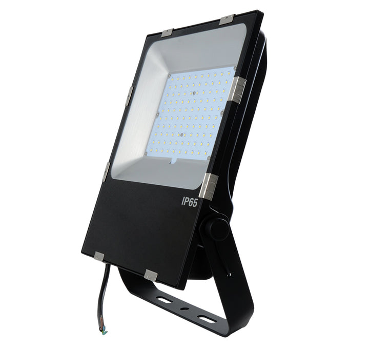 Flood Light 100w WW Poli