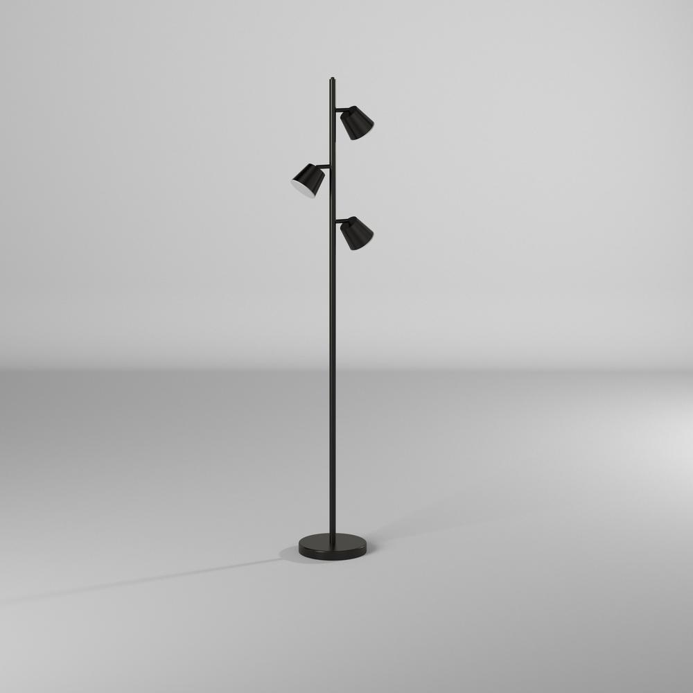 82205017