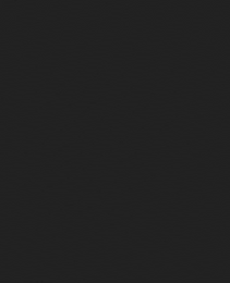 82204037