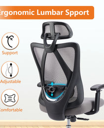 Ergonomic Office Chair