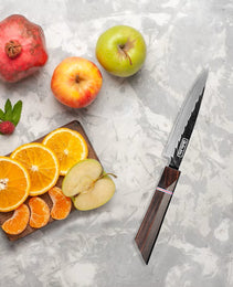 Qulajoy 8 Inch Japanese Chef Knife, Professional Hand Forged High Carbon Steel Kitchen Chef Knife,Cooking Knife With Ebony Handle