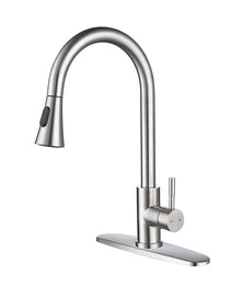 Kitchen Faucet With Pull Out Spraye
