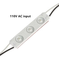 Module Light - 110V 100 Pieces HTK CW