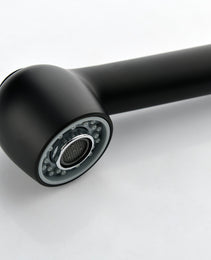 Stainless Steel Matte Black Single Handle Pull Out Spray, Kitchen Faucet
