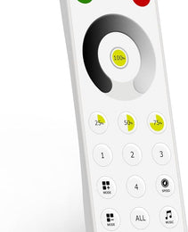 Digital Remote Control 2.4G RB1 single color 5-24V
