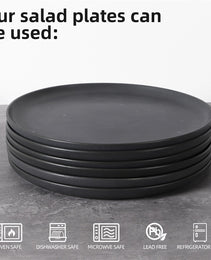 Steak Plate Creative Western Food Plate Vegetable Plate Set Of 6 For Cereal, Salad, Pasta, Soup, Dessert, Serving Dishwasher, Microwave And Oven