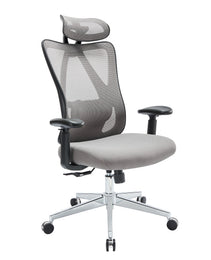Ergonomic Office Chair