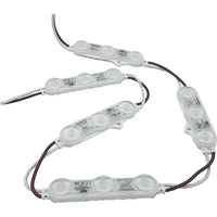 Module Light - 110V 100 Pieces HTK CW