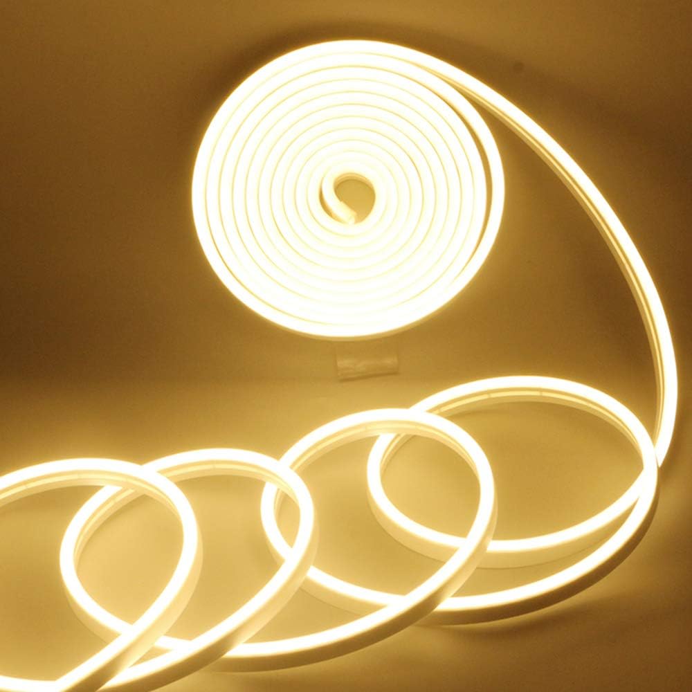 Strip Neon 3000K 12V - 16.4FT IP67 WW