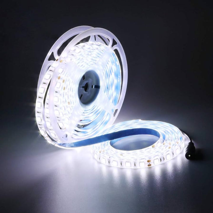 Strip Lights (5050) 24V CW - 16.4FT - IP65