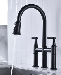 Pull Down Dual Handle Kitchen Faucet