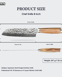 Qulajoy Nakiri Chef Knife 6.5 Inch - Professional Japanese 67 Layers Damascus VG-10 Steel - Hammered Vegetable Cutting Knife - Zebrawood Handle With Sheath