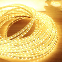 Arbitrary Cutting LED Strip light 50M - 160FT - 2835 - Warm White - BTY