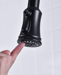 Pull Down Dual Handle Kitchen Faucet