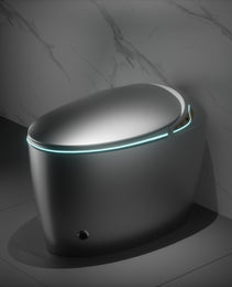 Unique Smart Toilet with Built-In Bidet – One-Piece Intelligent Toilet with Auto Open/Close Seat, Warm Water, Dryer & LED Display (Grey)